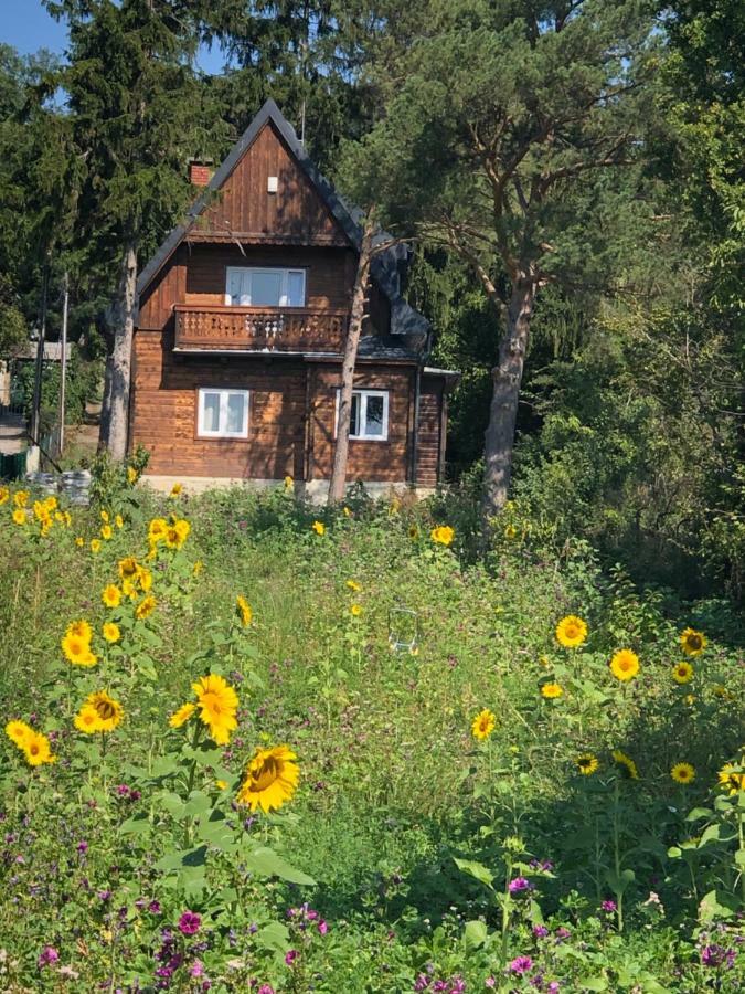 Vacationhome In The Vineyards Βιέννη Εξωτερικό φωτογραφία