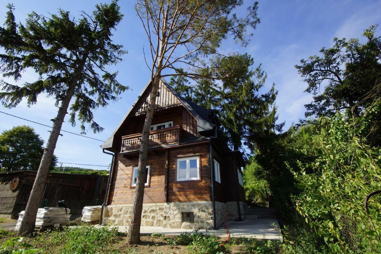 Vacationhome In The Vineyards Βιέννη Εξωτερικό φωτογραφία